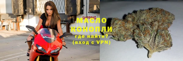 сатива Кулебаки