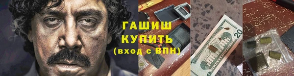 сатива Кулебаки