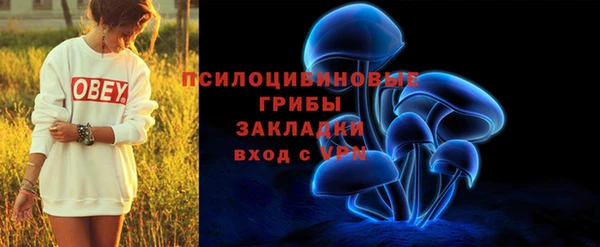 сатива Кулебаки