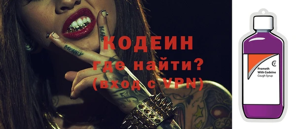 сатива Кулебаки