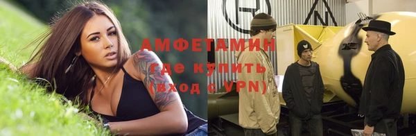 сатива Кулебаки