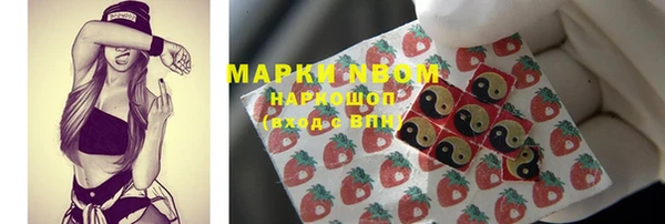 сатива Кулебаки