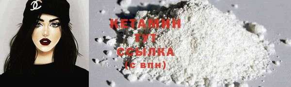сатива Кулебаки