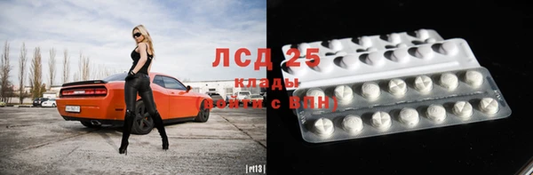 сатива Кулебаки