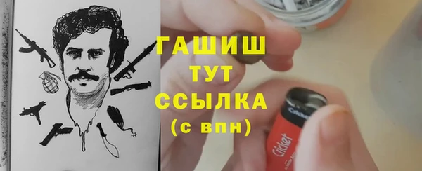 сатива Кулебаки