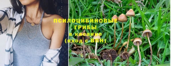 спиды Кукмор