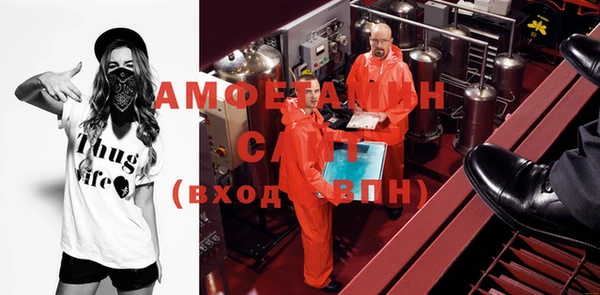 сатива Кулебаки