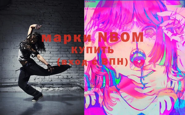 сатива Кулебаки