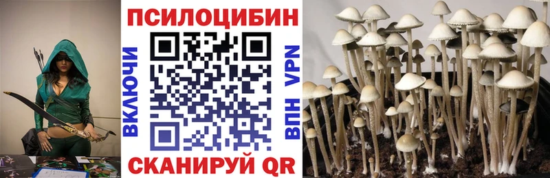 продажа наркотиков  Моршанск  Псилоцибиновые грибы прущие грибы 